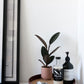 Nordic Style Tray